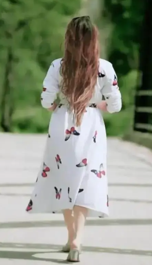 Woman's A line Butterfly Printed Dress